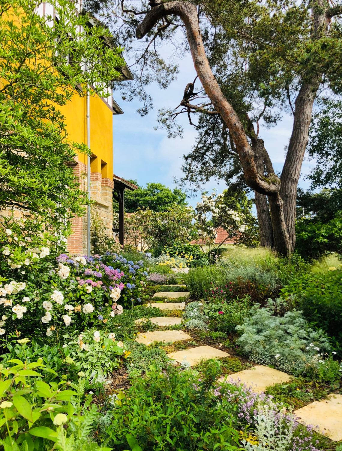 Chemin dans le Jardin du peintre