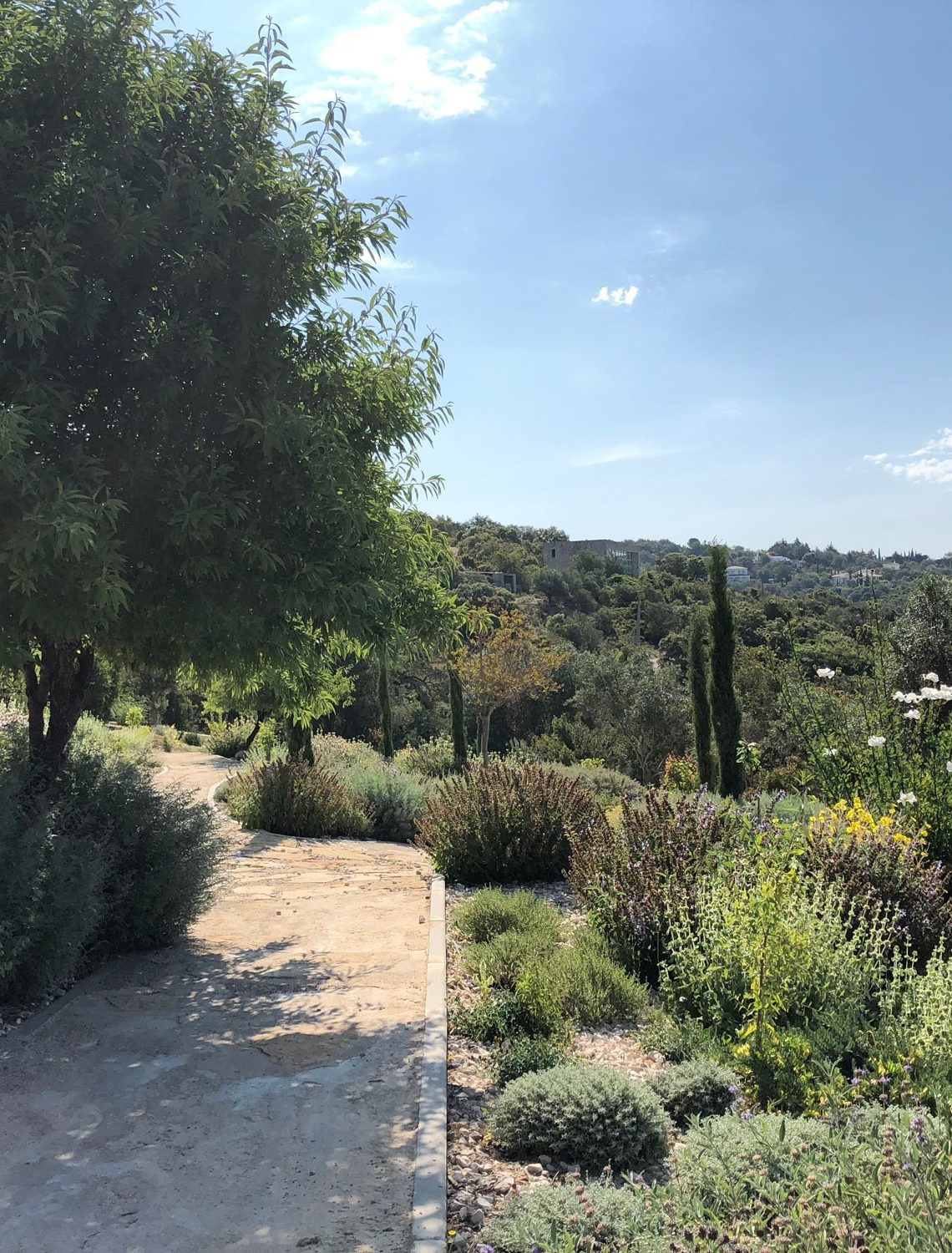 Chemin à travers la végétation du Jardin en Algarve