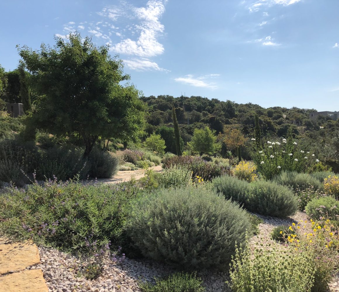 La végétation habille les reliefs du Jardin en Algarve