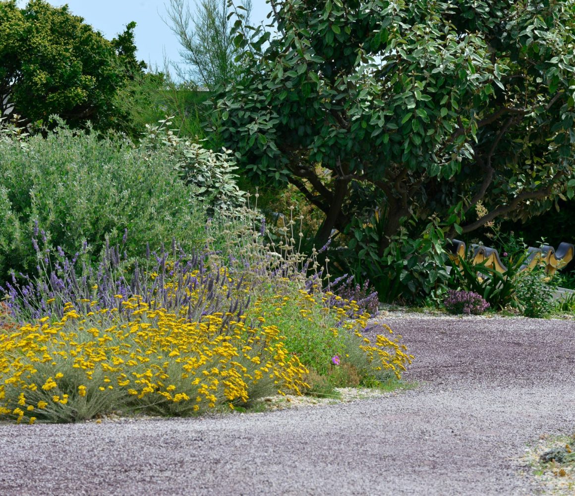 Nuances de teintes dans le jardin en front de mer