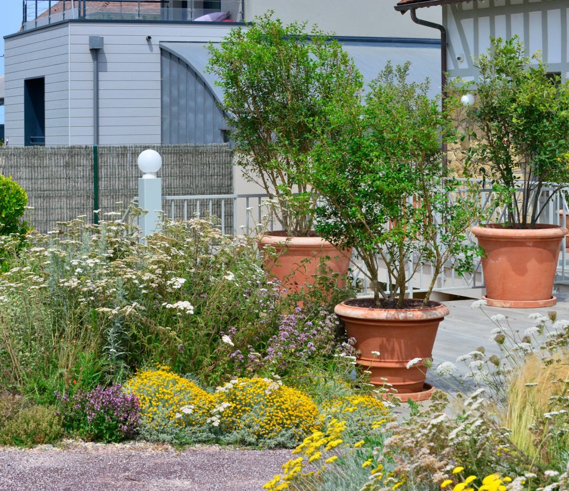 Terrasse du jardin en front de mer