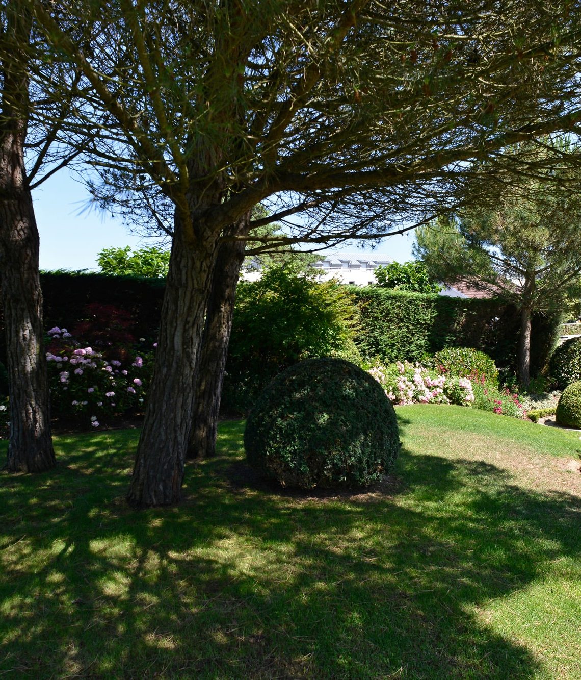 Zone d'ombre du Jardin sous les pins