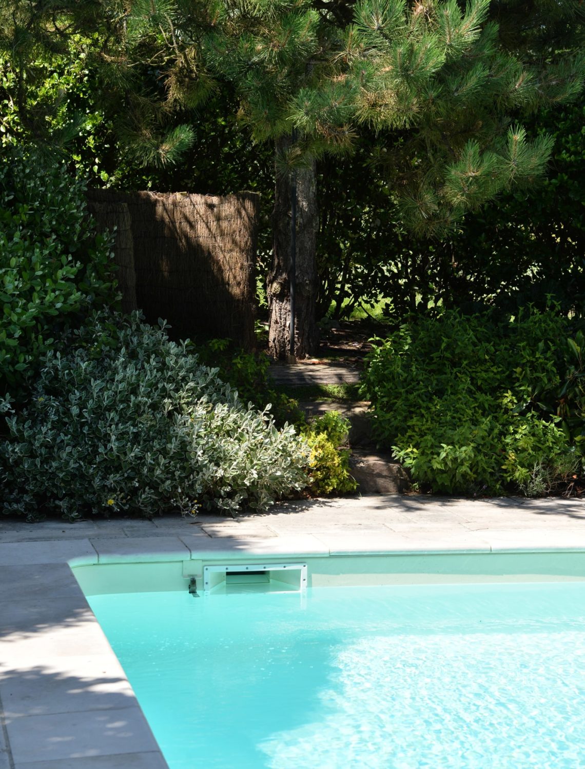 Essences entremêlées au tour de la piscine du Jardin sous les pins