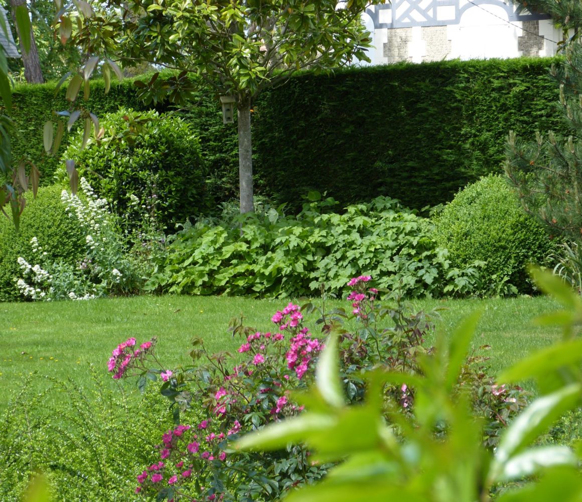 Evergreen Jardin sous les pins