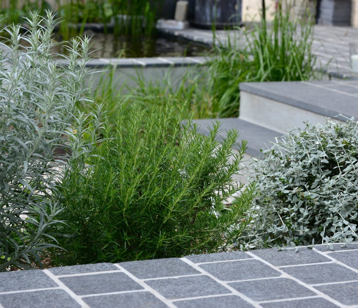 Terrasse du Jardin de Flandre à Cabourg