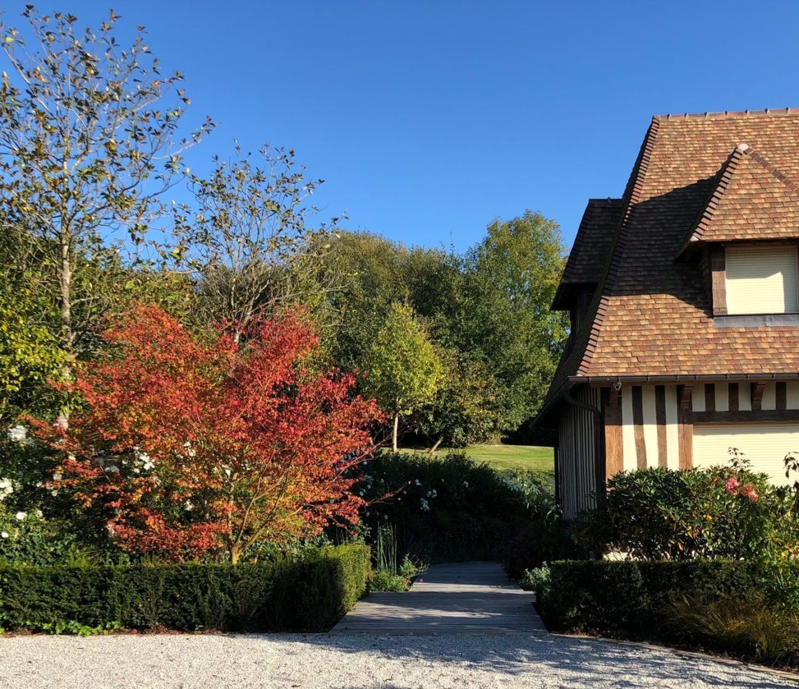 Association des différents matériaux dans le jardin à l'horizon