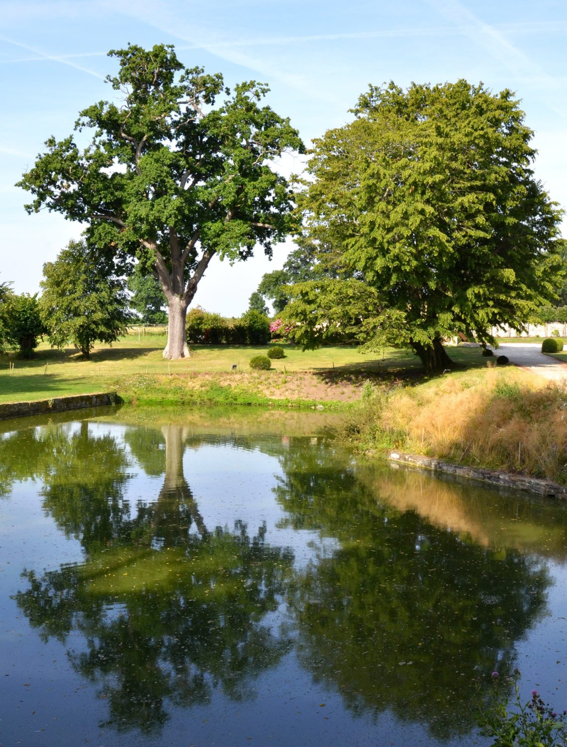 Point d'eau entouré de verdure dans un jardin historique