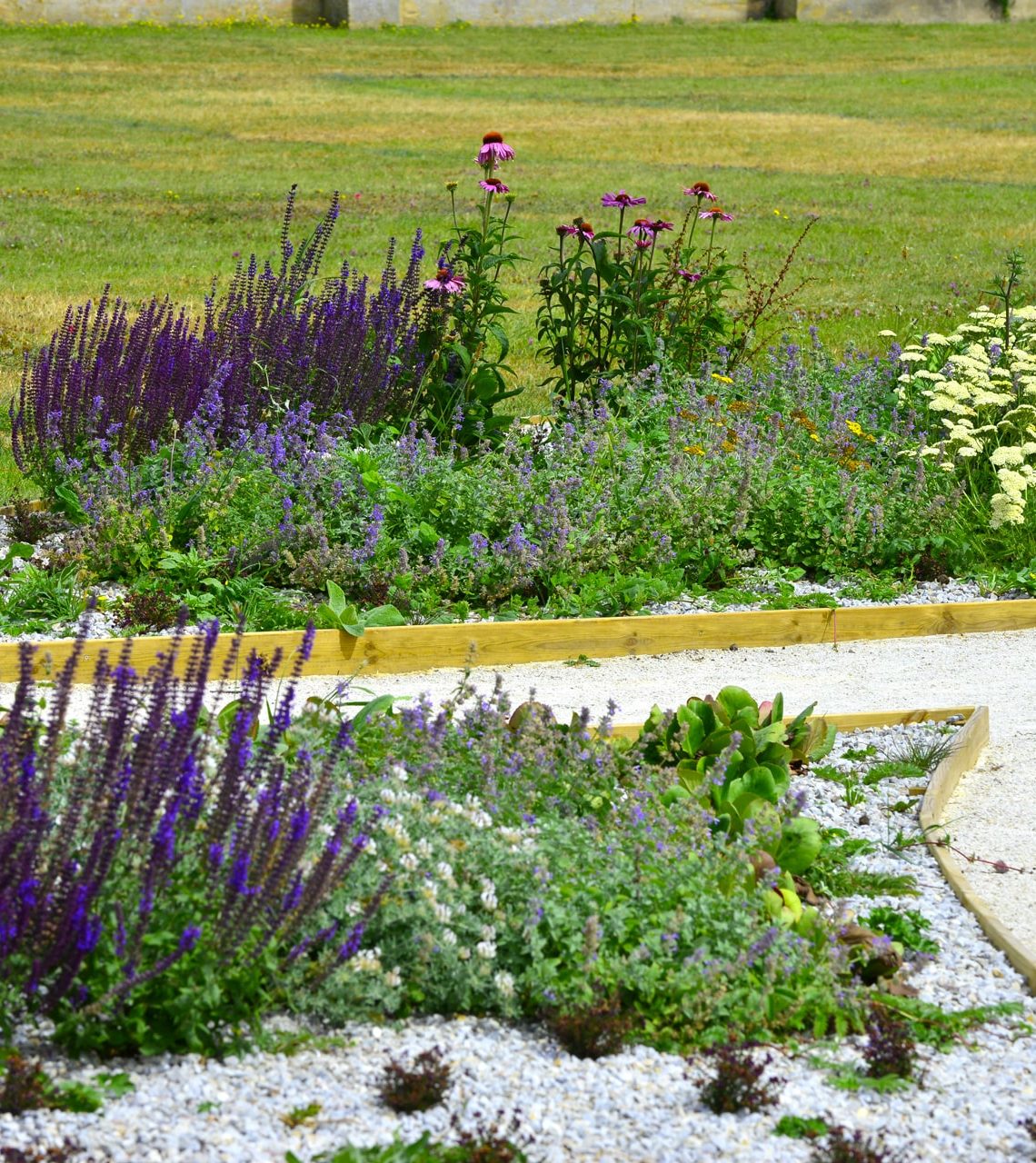 Parterre de plantes sèches