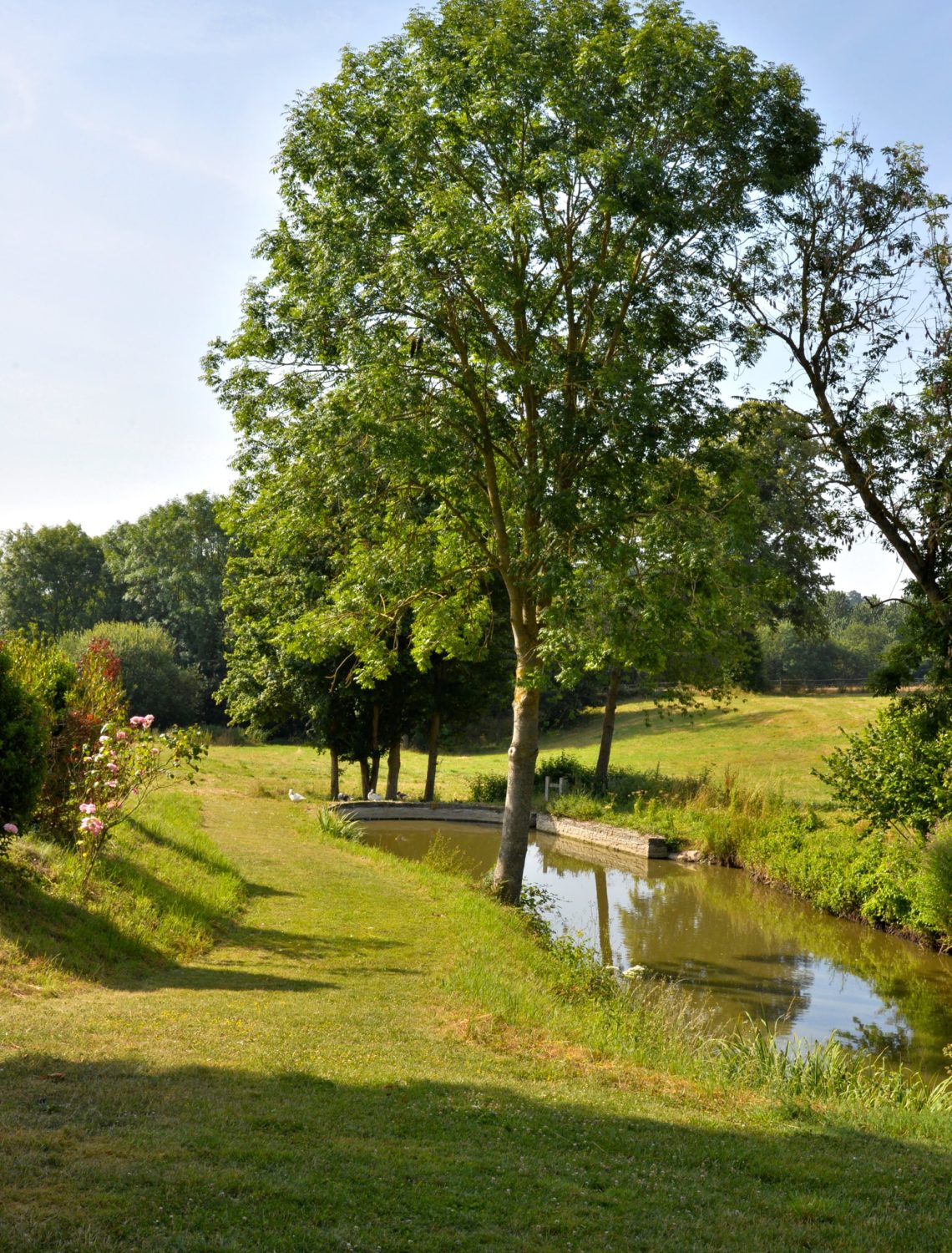 Point d'eau arboré dans un jardin historique