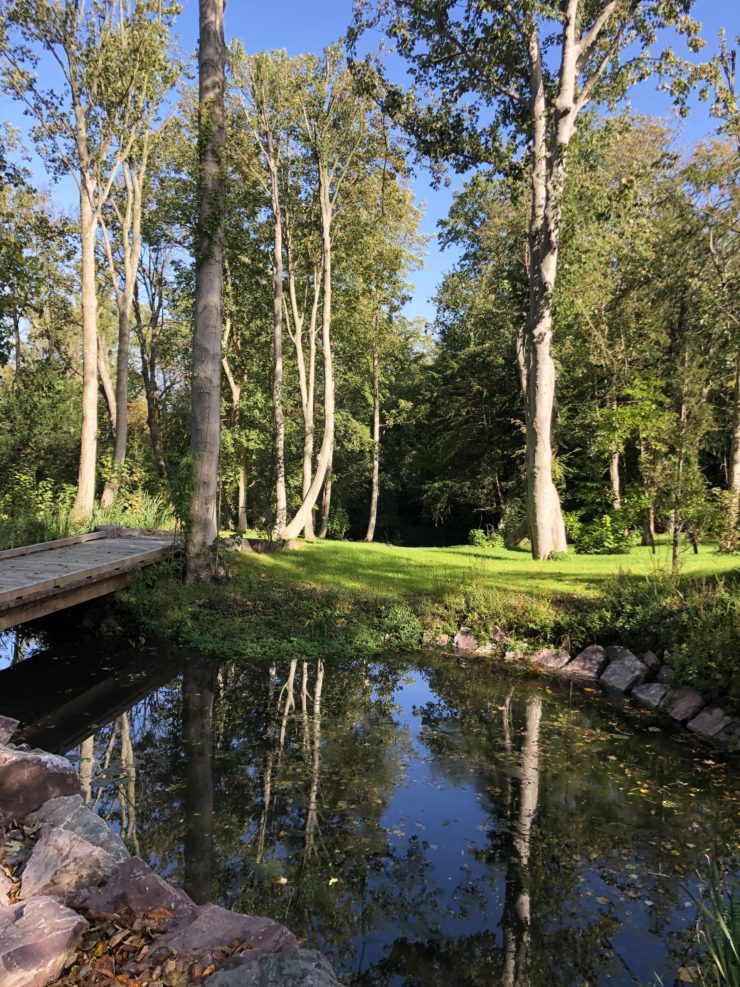 Point d'eau dans la forêt en bord de mer