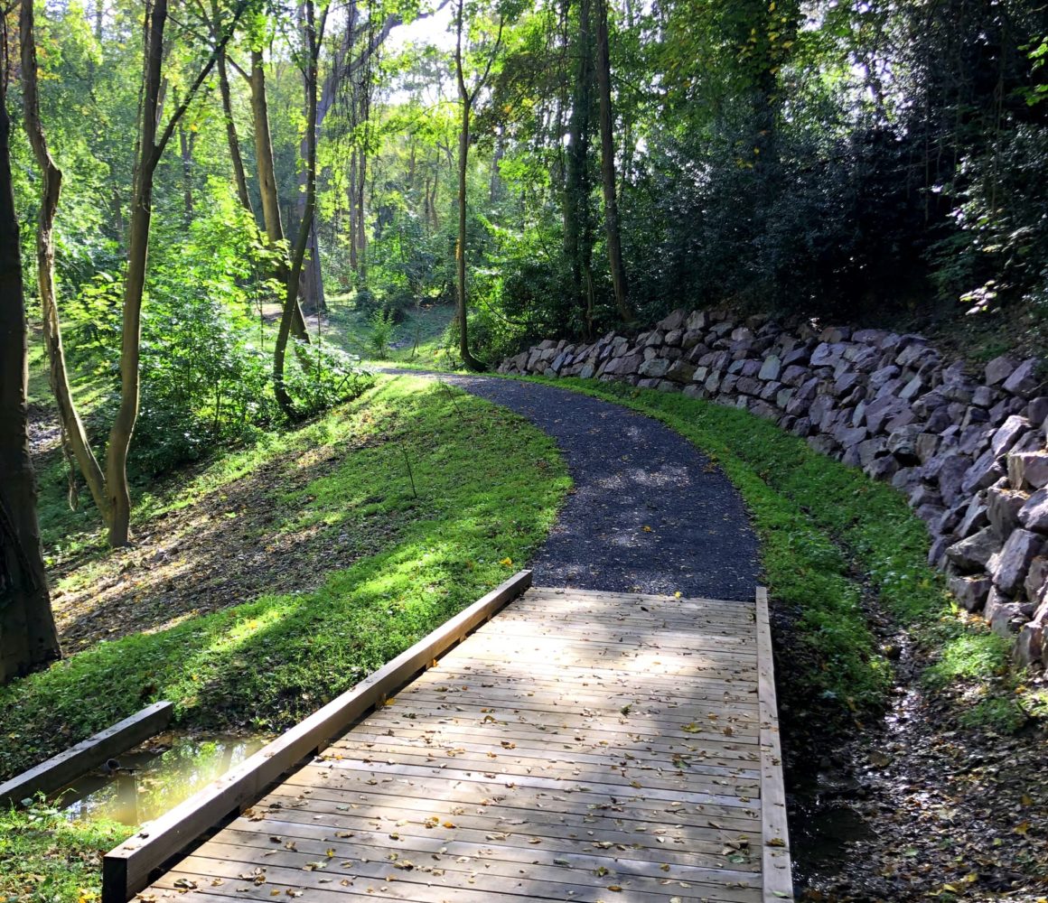 Passerelle dans la forêt en bord de mer